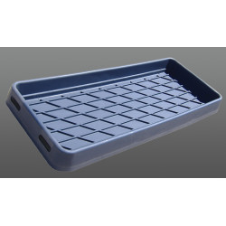 BH2520